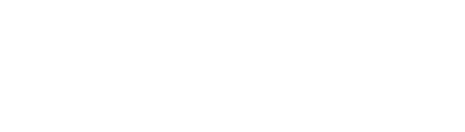 Quintiles Inc.